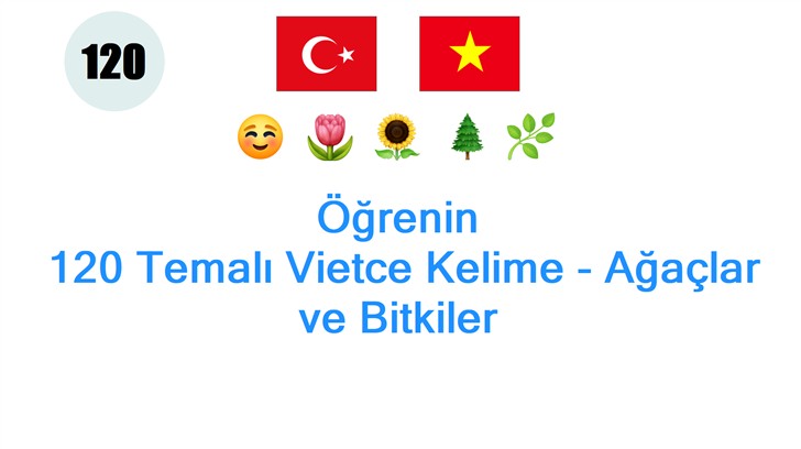 Öğrenin: 120 Temalı Vietce Kelime - Ağaçlar ve Bitkiler